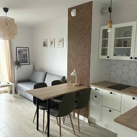 W Szczecinie Przy Stoczni 公寓 什切青